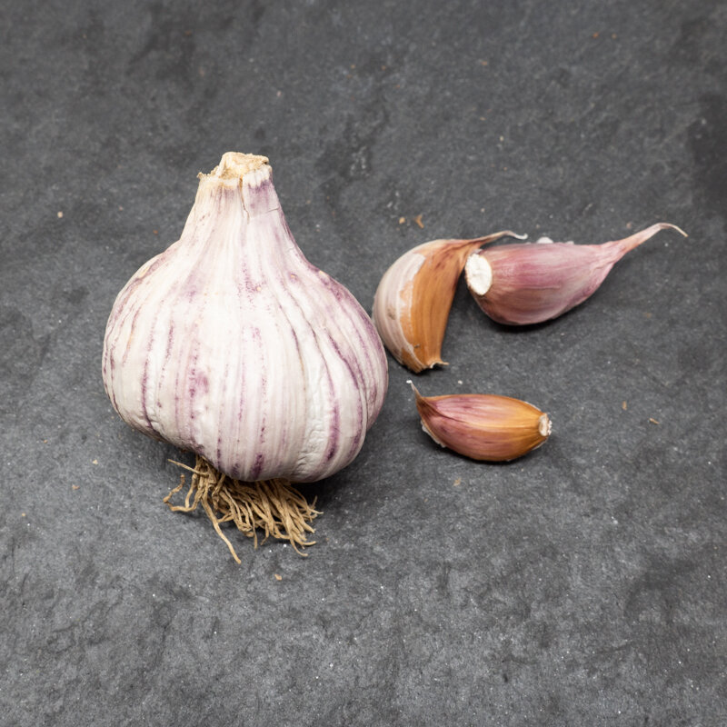 Garlic bulbs - Purple Garlic Bulbs "Primor" AB - 250 g - Allium sativum