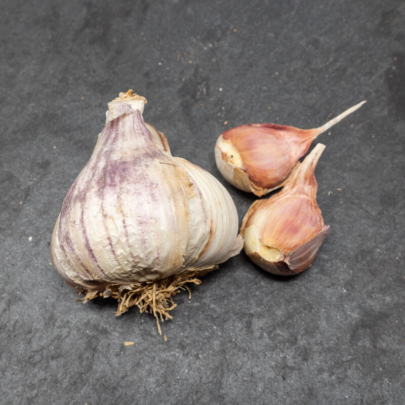 Garlic bulbs - Germidour Purple Garlic Bulbs 250 g AB - Allium sativum