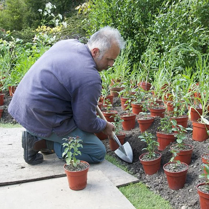 Planting tools - Great Dixter" pointed spade 56 cm