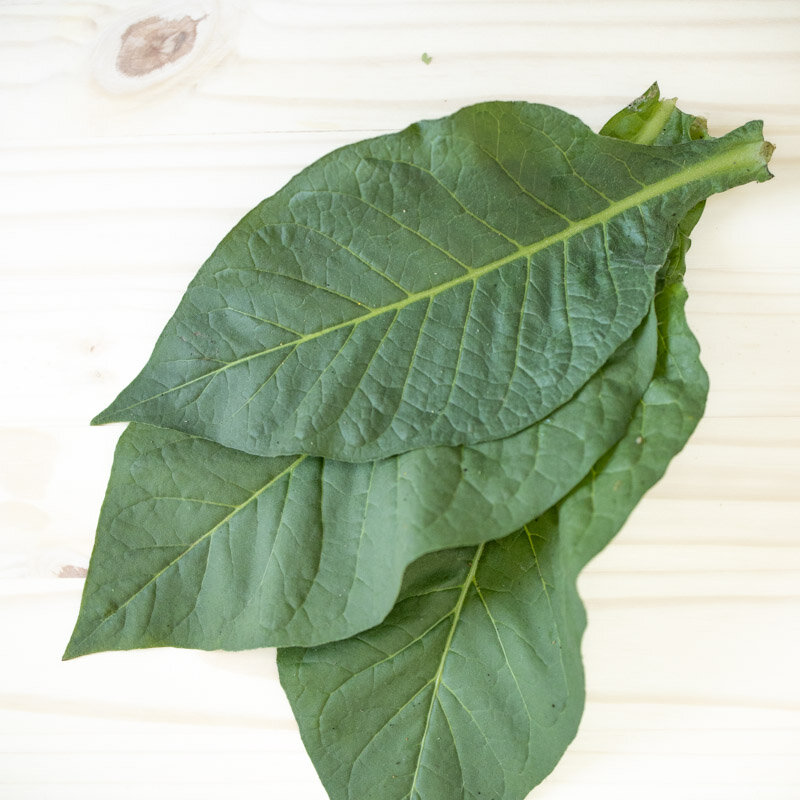 Tobacco - Virginia Bright Leaf