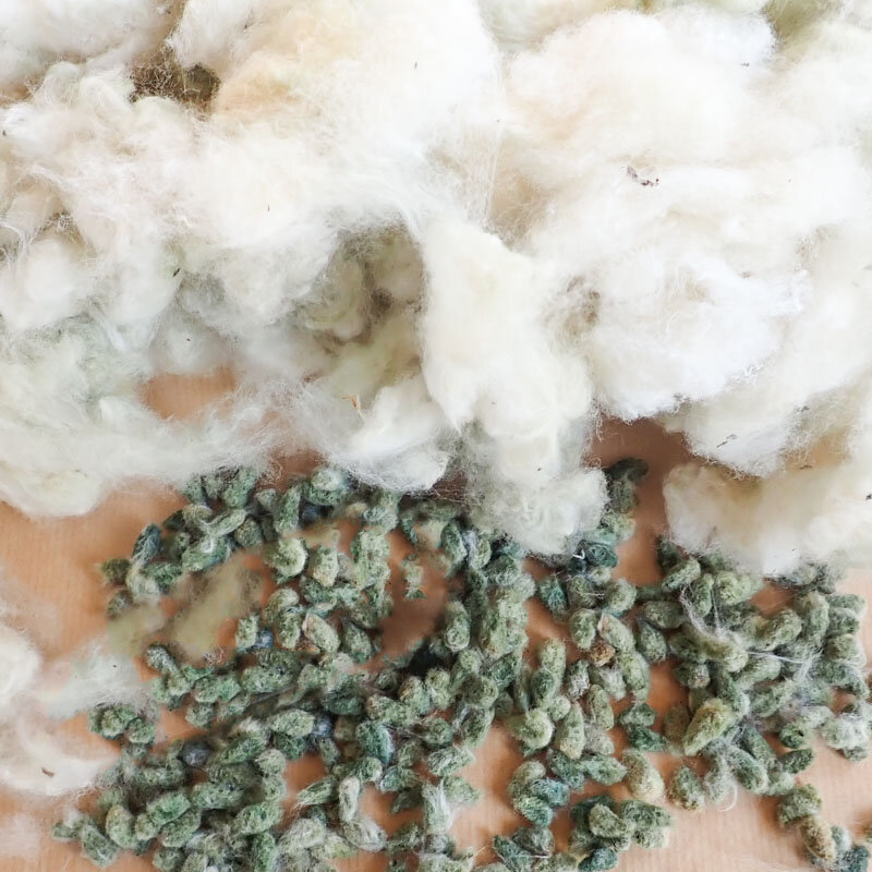 Cotton - Erlene's Green