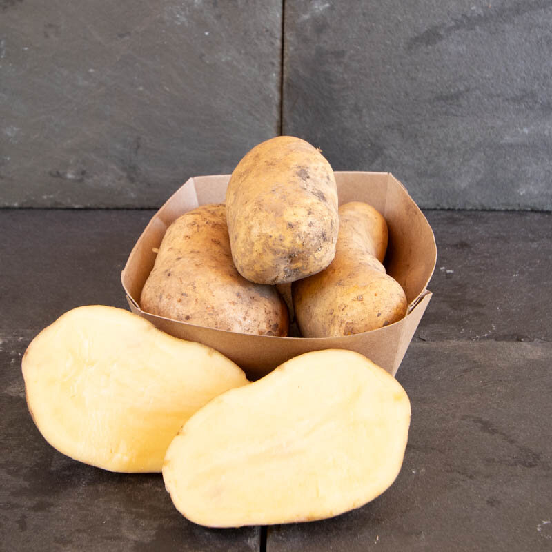 Potatoes - Organic Charlotte potato - size 25/35 Organic Charlotte potato 25 plants