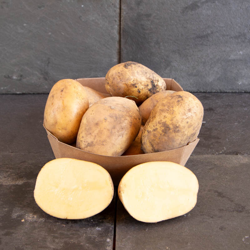 Potatoes - Organic Monalisa potato - size 28/35 Monalisa organic potato 25 plants