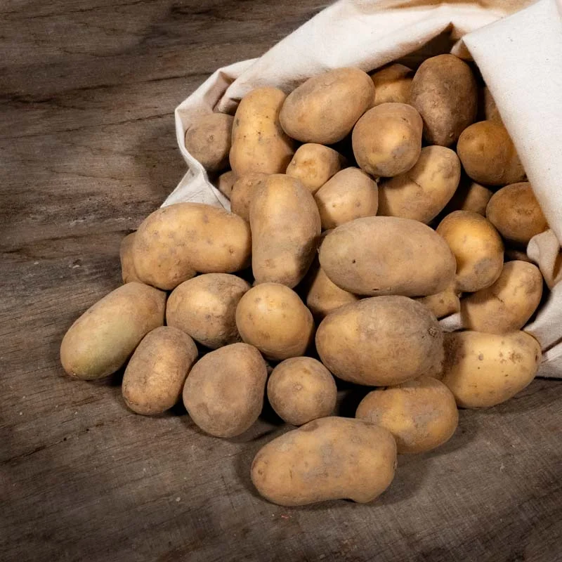 Potatoes - Altesse organic potato - size 28/35 Altesse organic potato 25 plants