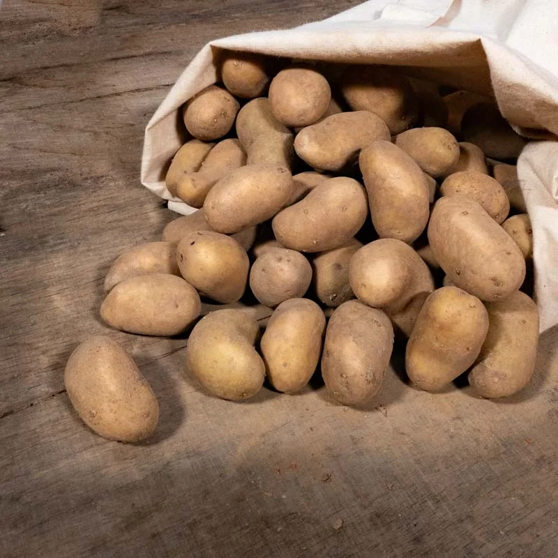 Potatoes - Organic Laurette potato - size 28/30 Organic Laurette potato 25 plants