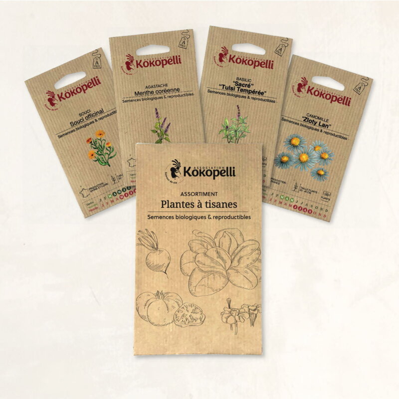 Fertile Assortments - Herbal teas - 4 organic seed packets to sow