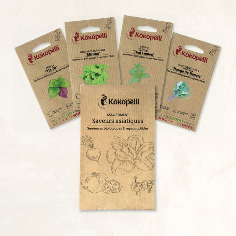 Fertile Assortments - Asian flavours - 4 organic seed packets to sow