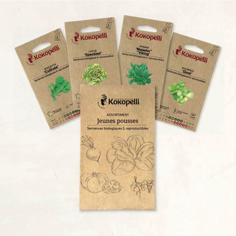 Fertile Assortments - Seedlings - 4 packets of organic seeds for sowing