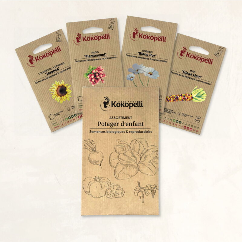 Fertile Assortments - Children's vegetable garden - 4 packets of organic seeds to sow