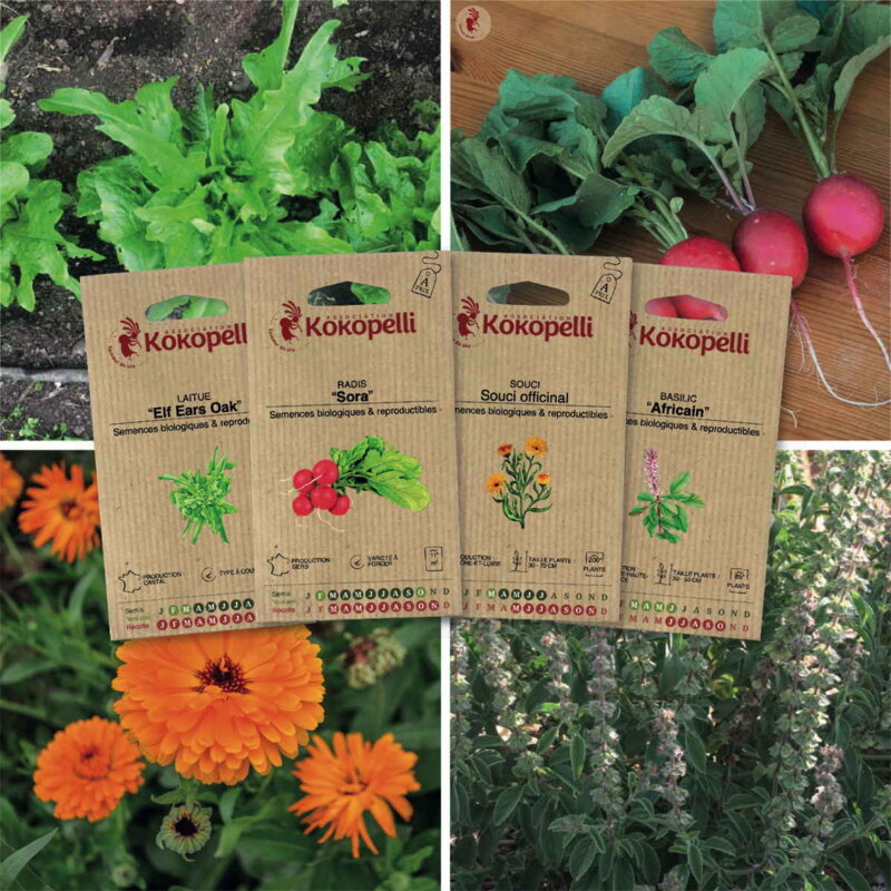 Fertile Assortments - Balcony garden - 4 organic seed packets to sow