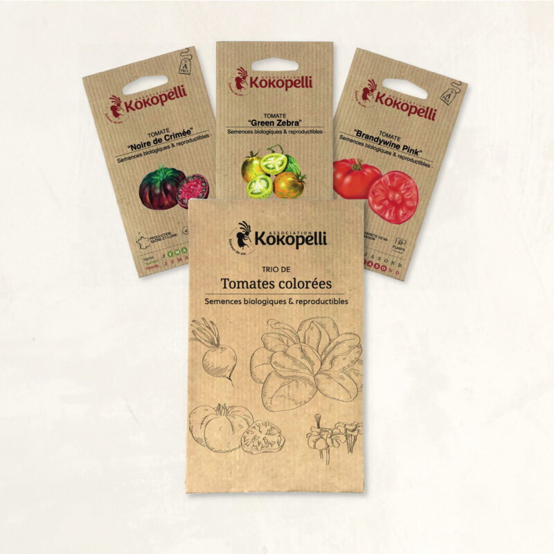 Fertile Assortments - Colorful tomatoes - 3 organic seed packets for sowing