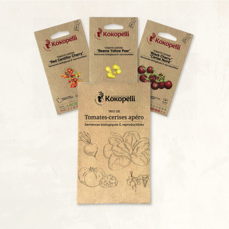 Fertile Assortments - Aperitif cherry tomatoes - 3 organic seed packets for sowing