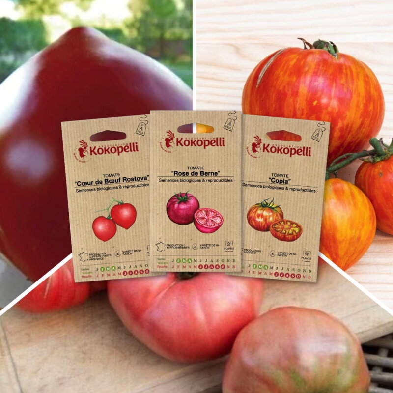 Fertile Assortments - Tasty tomatoes - 3 organic seed packets to sow