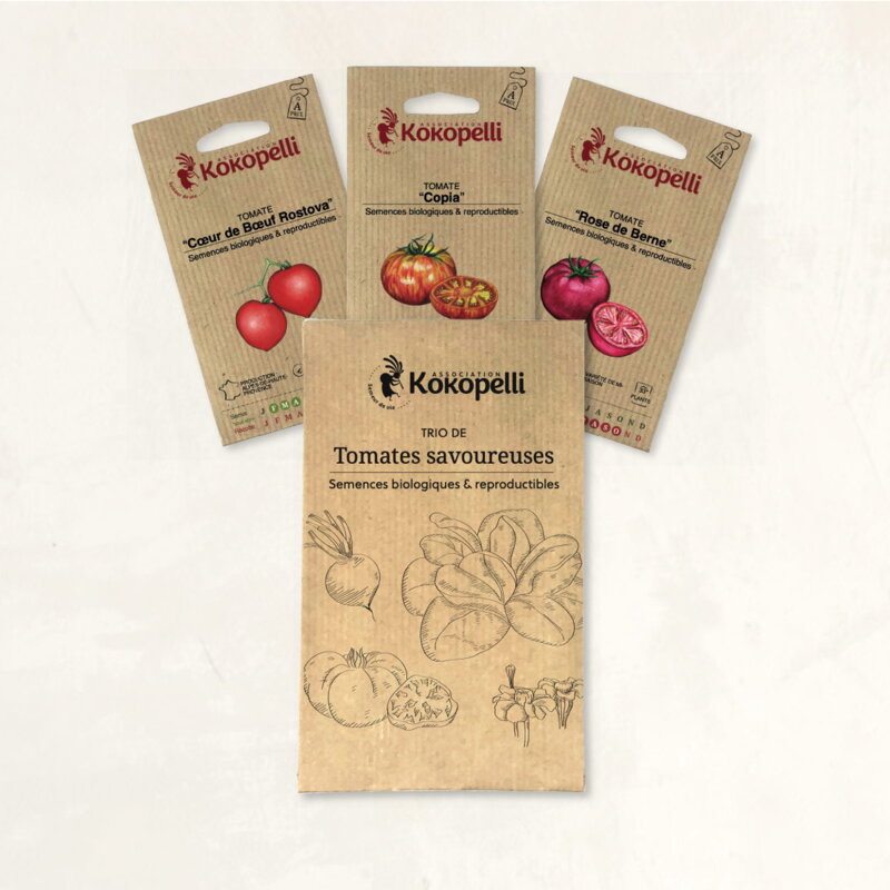 Fertile Assortments - Tasty tomatoes - 3 organic seed packets to sow