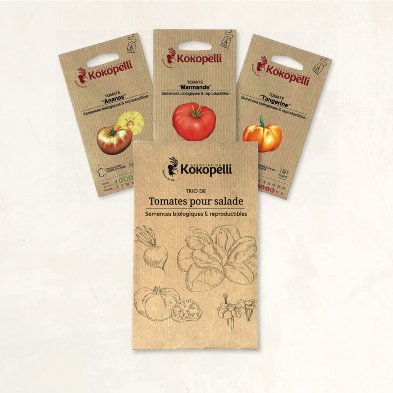 Fertile Assortments - Tomatoes for salad - 3 organic seed packets for sowing