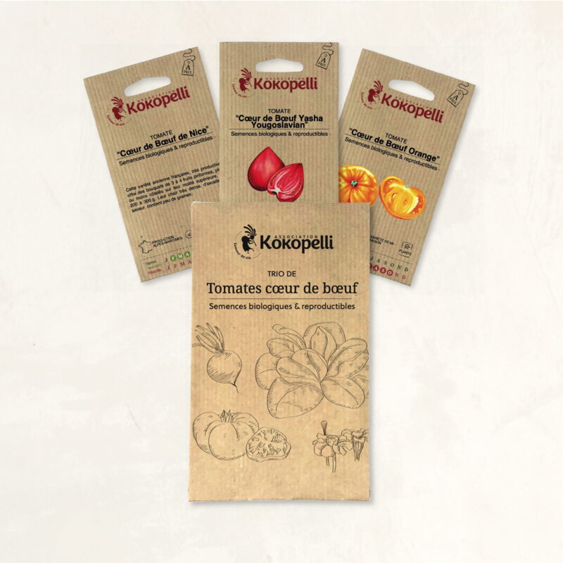 Fertile Assortments - Cœur de Bœuf Tomatoes - 3 organic seed packets for sowing