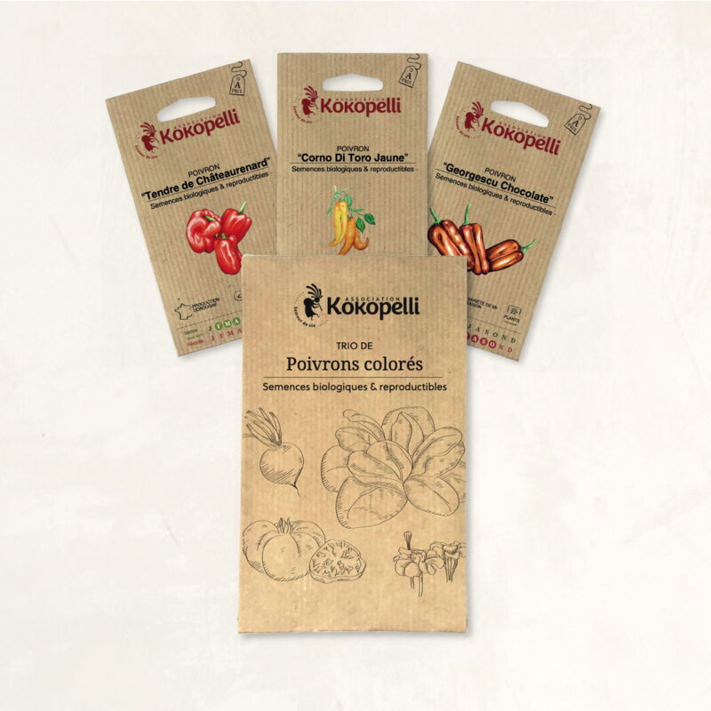 Fertile Assortments - Colorful peppers - 3 organic seed packets for sowing