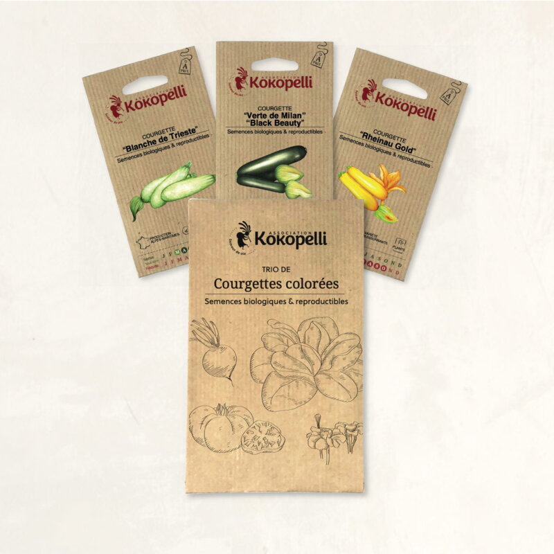 Fertile Assortments - Zucchinis Colorées - 3 organic seed packets for sowing