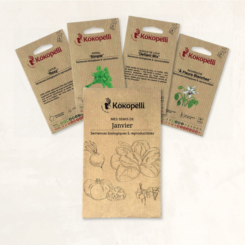 Fertile Assortments - Mes semis de janvier - 4 packets of organic seeds to sow