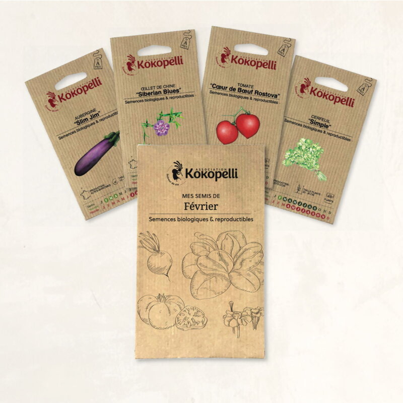 Fertile Assortments - My February seedlings - 4 packets of organic seeds to sow