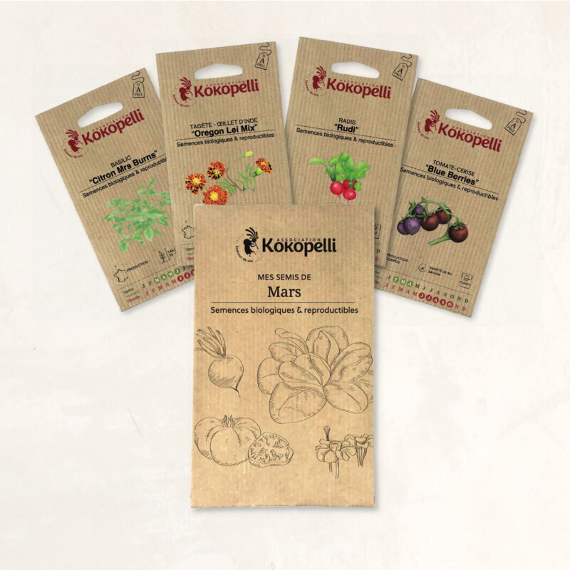 Fertile Assortments - Mes semis de mars - 4 packets of organic seeds to sow