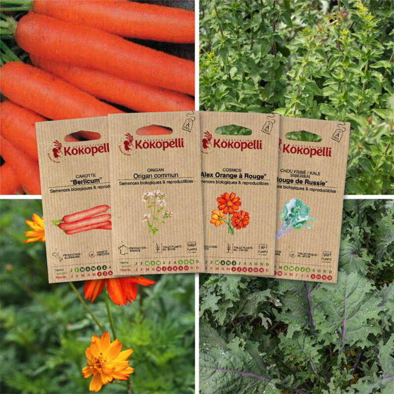 Fertile Assortments - Mes semis d'avril - 4 packets of organic seeds to sow