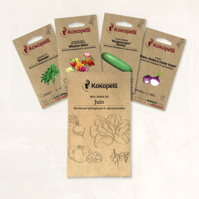 Fertile Assortments - Mes semis de juin - 4 packets of organic seeds to sow