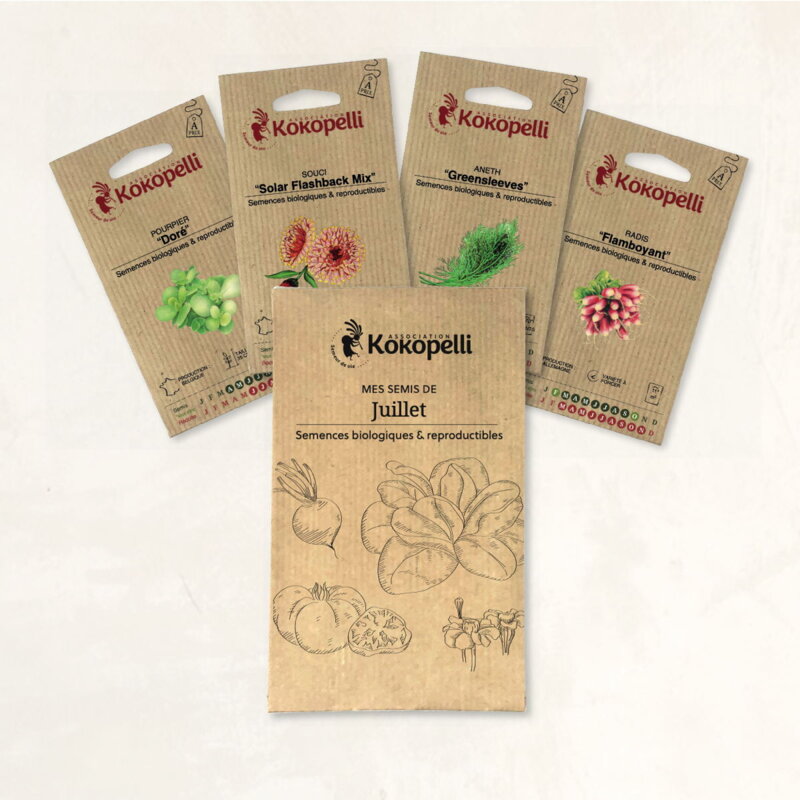 Fertile Assortments - Mes semis de juillet - 4 packets of organic seeds to sow