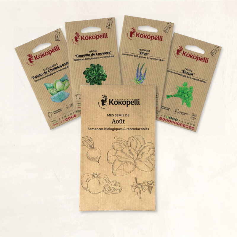 Fertile Assortments - Mes semis d'août - 4 packets of organic seeds to sow