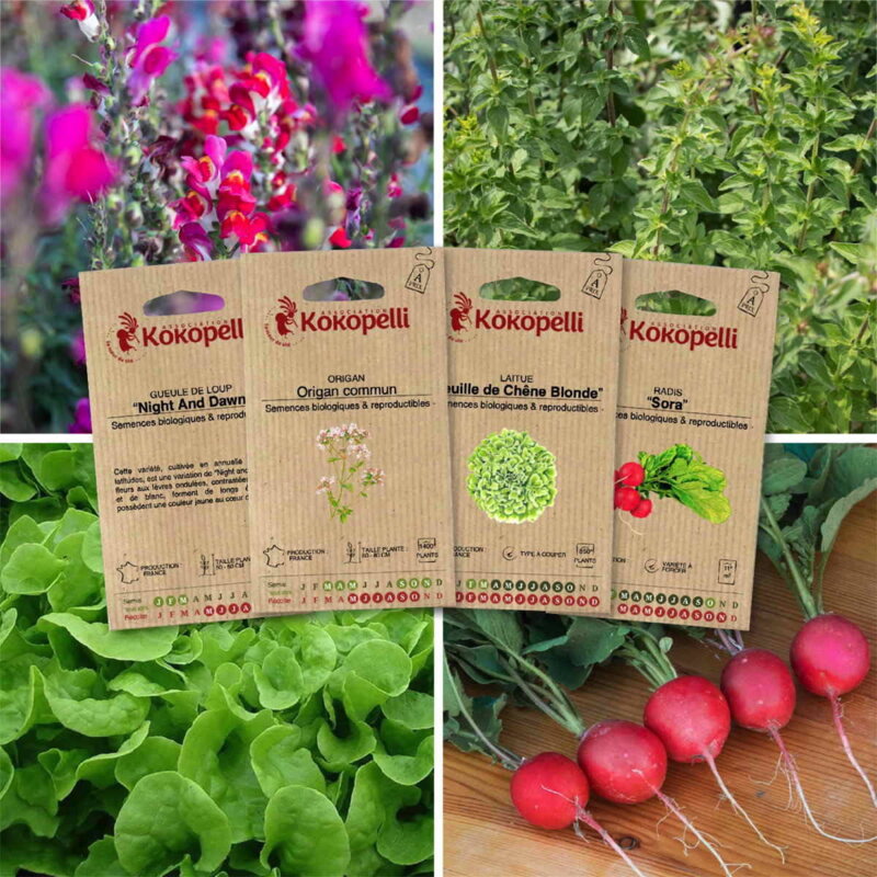 Fertile Assortments - Mes semis de septembre - 4 packets of organic seeds to sow