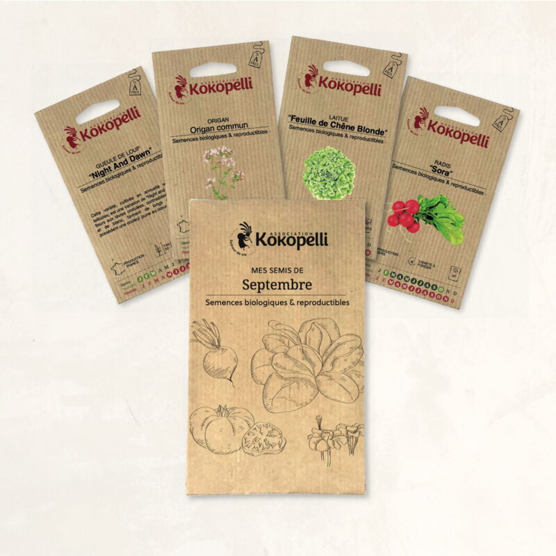 Fertile Assortments - Mes semis de septembre - 4 packets of organic seeds to sow