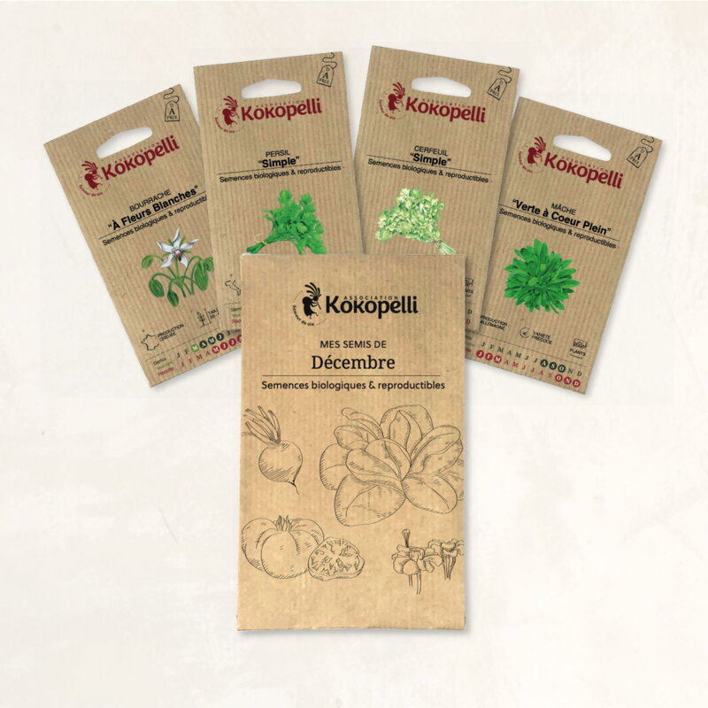 Fertile Assortments - Mes semis de décembre - 4 organic seed packets to sow