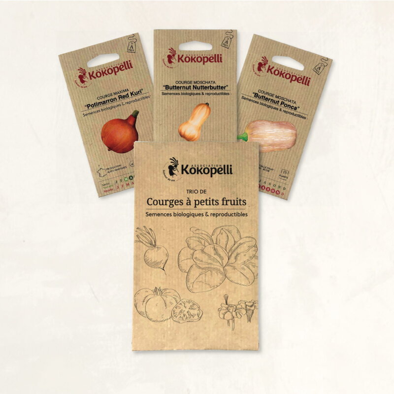 Fertile Assortments - Small fruit squash - 3 organic seed packets for sowing