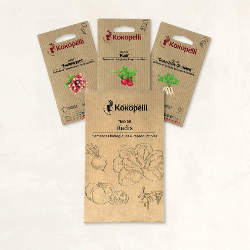 Fertile Assortments - Radishes in various shapes - 3 organic seed packets for sowing