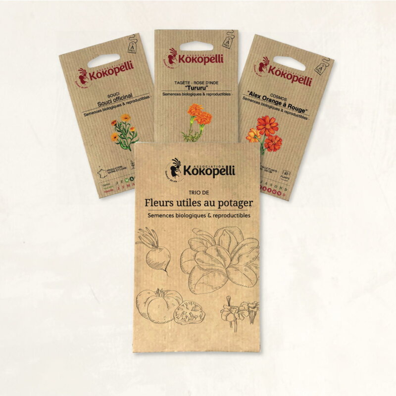 Fertile Assortments - Flowers for the vegetable garden - 3 organic seed packets for sowing