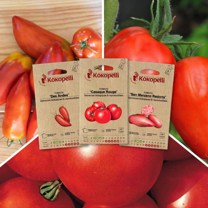 Fertile Assortments - Tomatoes for coulis - 3 organic seed packets for sowing