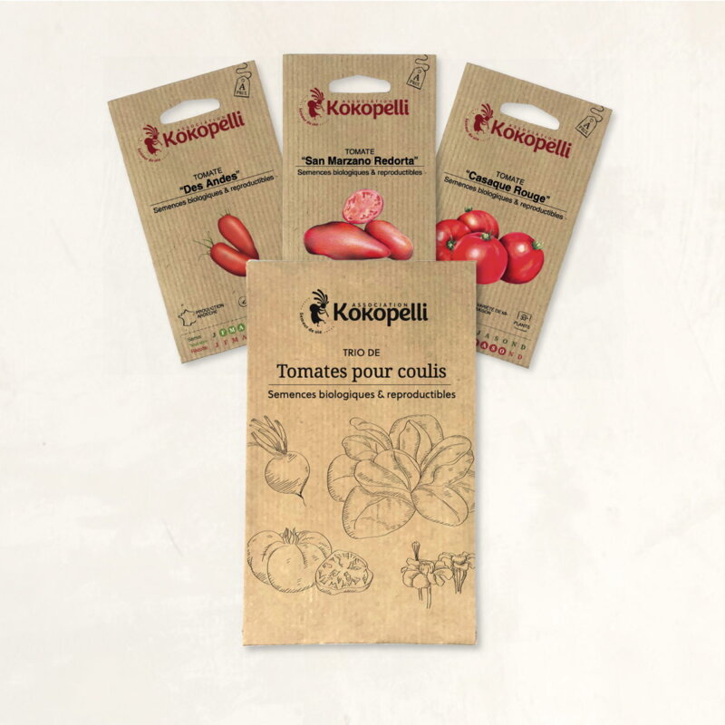 Fertile Assortments - Tomatoes for coulis - 3 organic seed packets for sowing