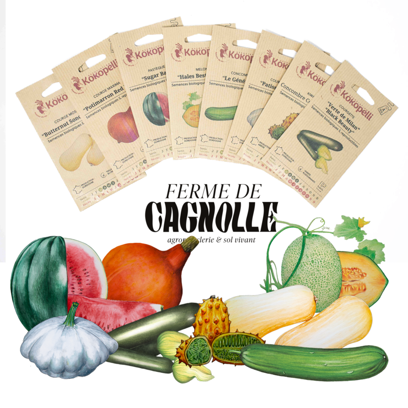 Fertile Assortments - Cucurbits from Cagnolle