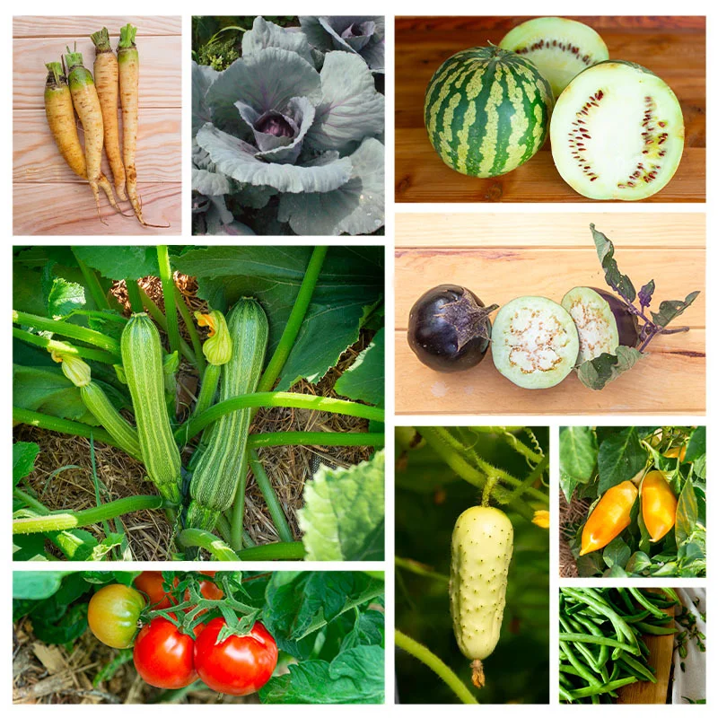 Fertile Assortments - Assortment - Fruits &amp; vegetables for canning