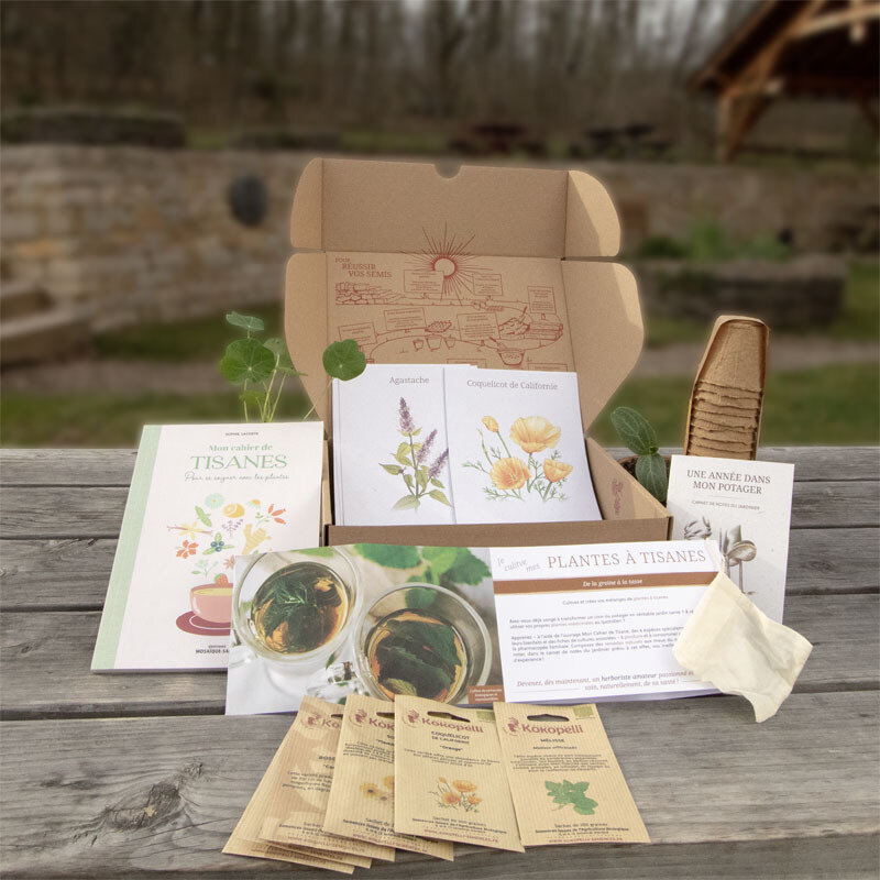 Seeds boxes - Box of seeds - Herbal teas