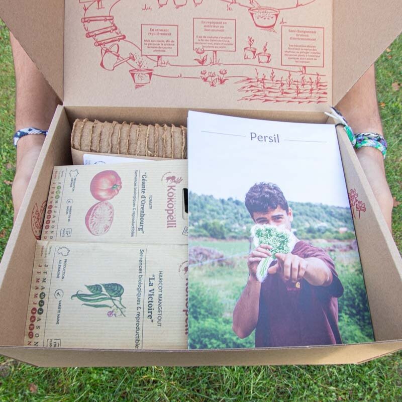 Seeds boxes - Seed box - Goran the permaculturist