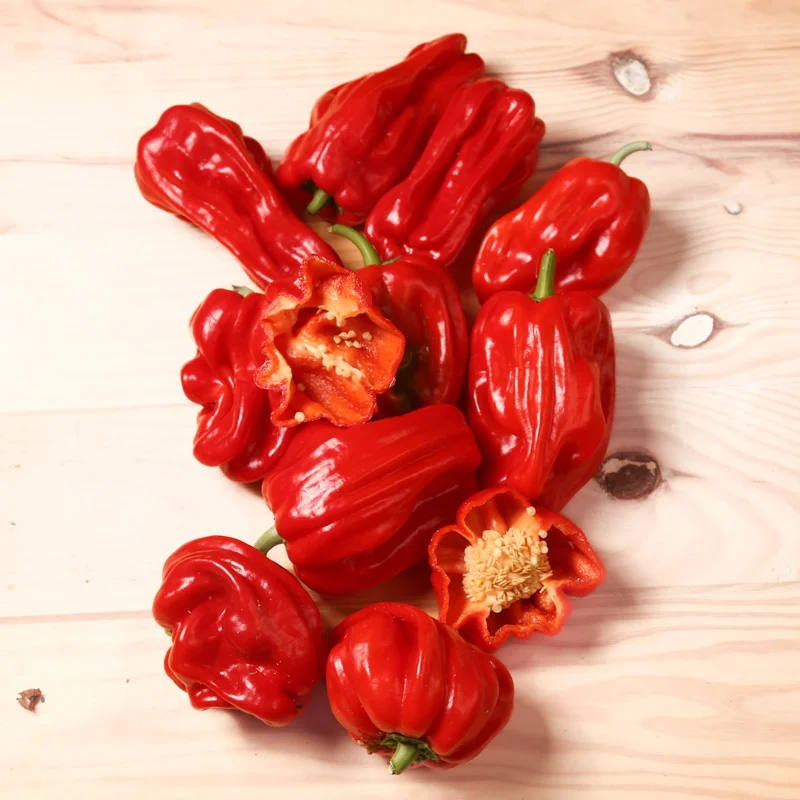 Peppers - Criolla de Cocina