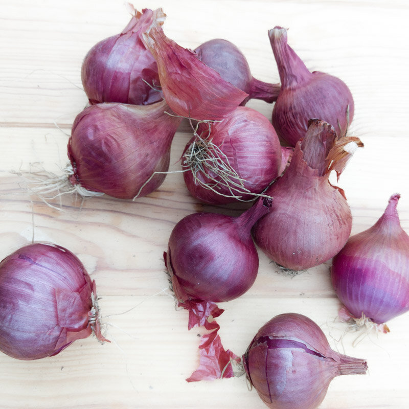 Onions - Saint Turjan