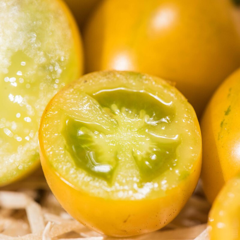 Cherry tomatoes - Saucy Green