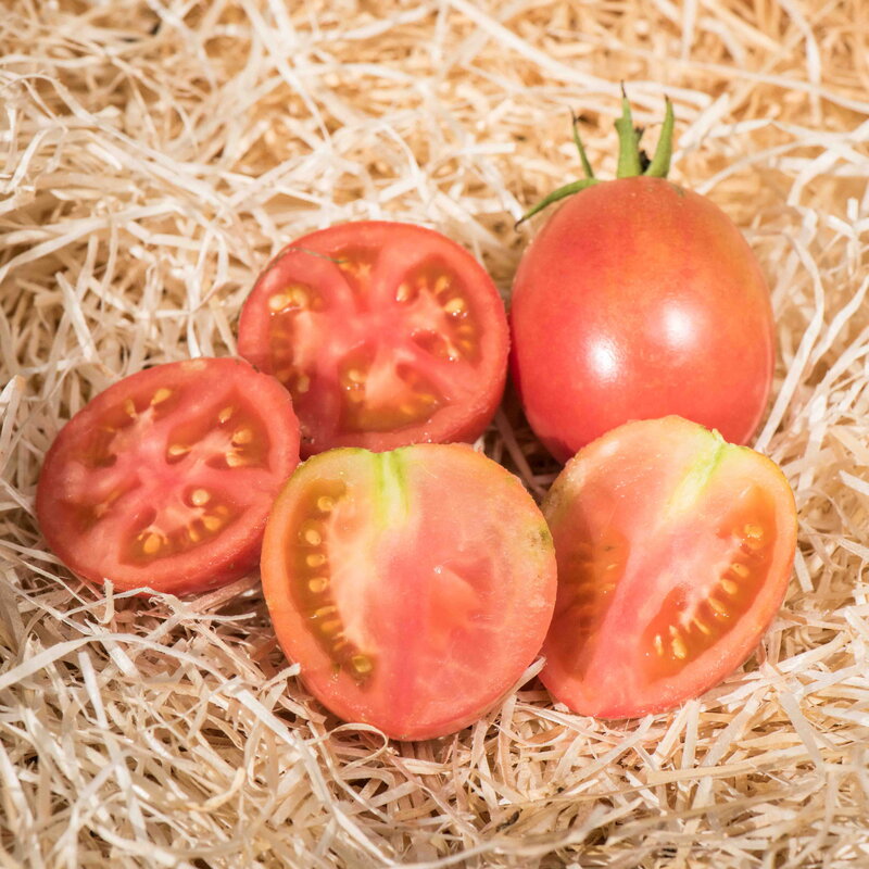 Tomatoes - Momotaro Atarashii