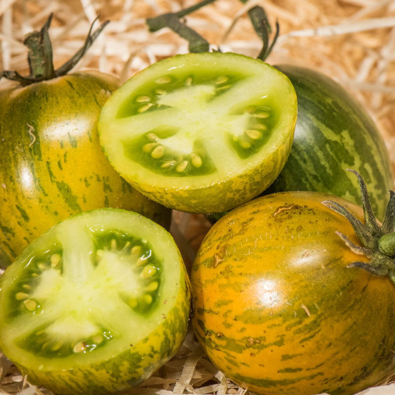 Tomatoes - Robecq Zebra