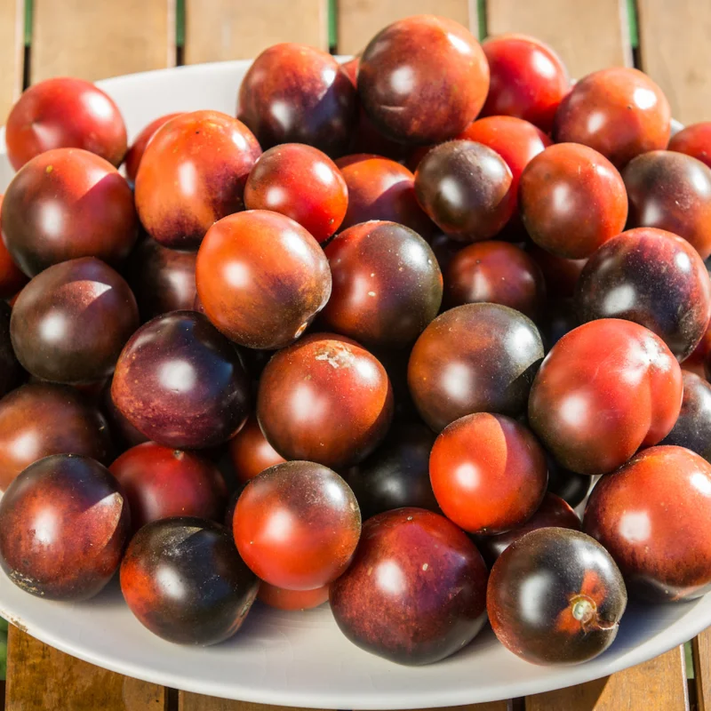 Cherry tomatoes - Blue Chocolate