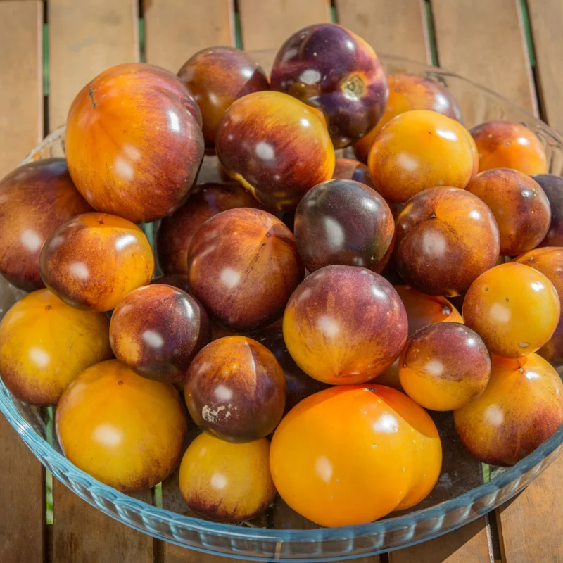 Cherry tomatoes - Blue Gold