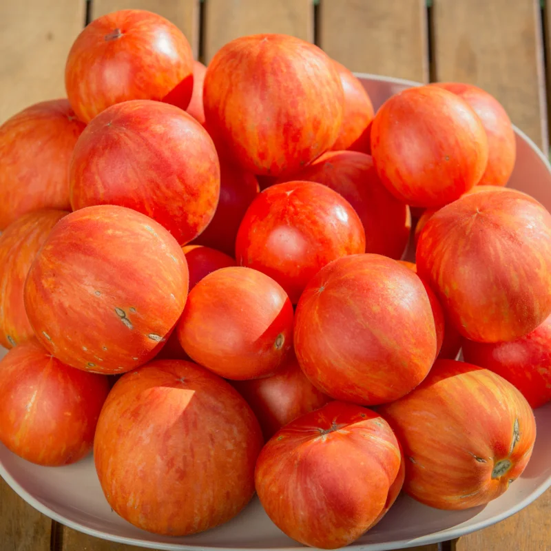 Tomatoes - Red Furry Boar