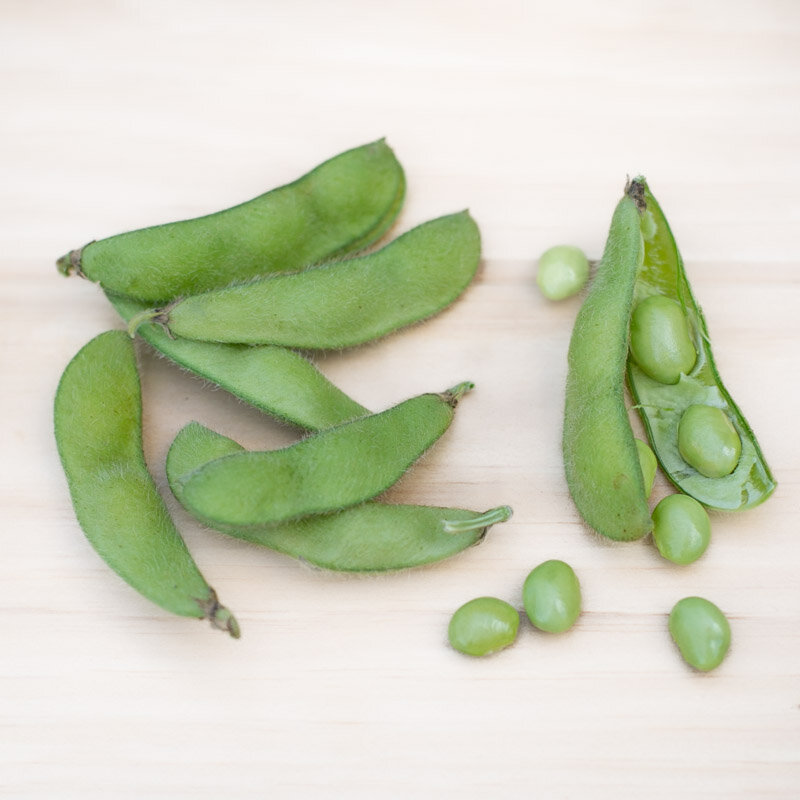 Soya beans - Midori Giant